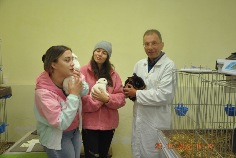 Študentky UVL Košice asistujú pri posudzovaní králikov